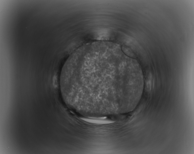 X0000088480620200706191408