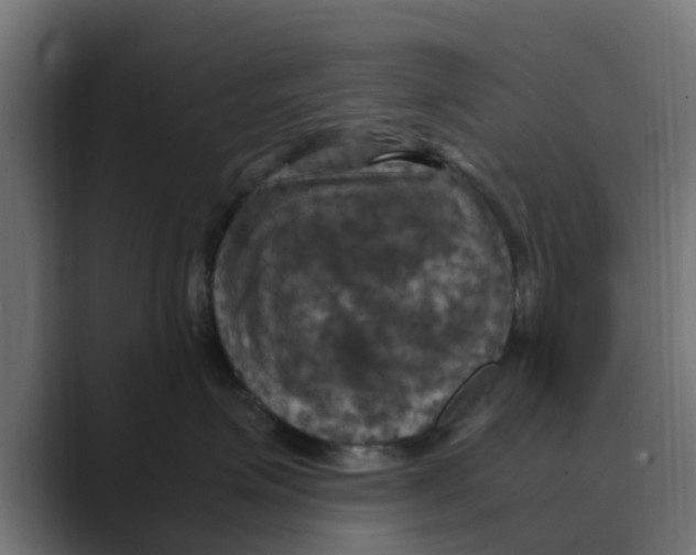 X0000088480623200706191408