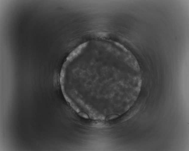 X0000088480624200706191407