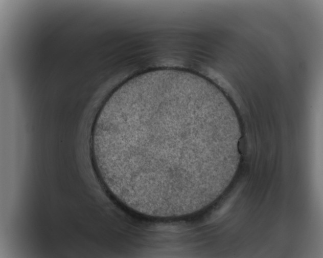 X0000088480625200706191407