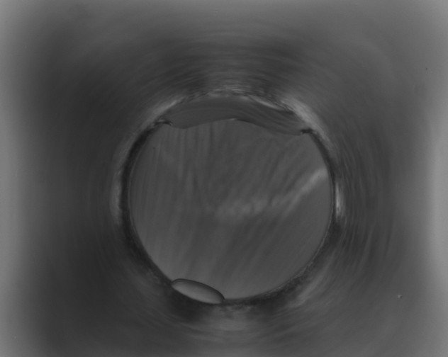 X0000088480627200706191407