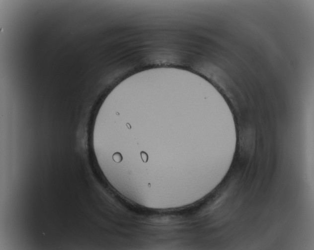 X0000088480629200706191407