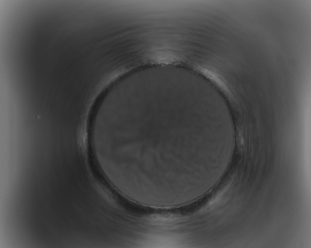 X0000088480630200706191407