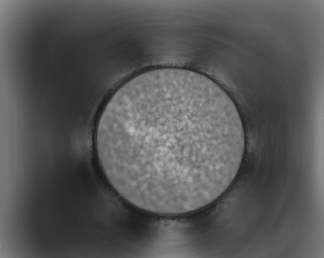 X0000088480632200706191407