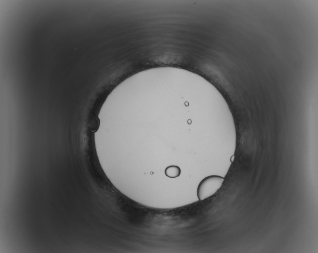 X0000088480635200706191407