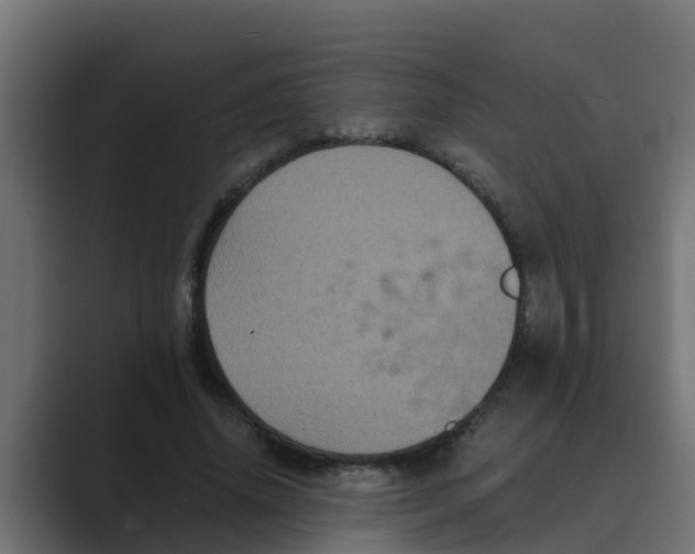 X0000088480636200706191407