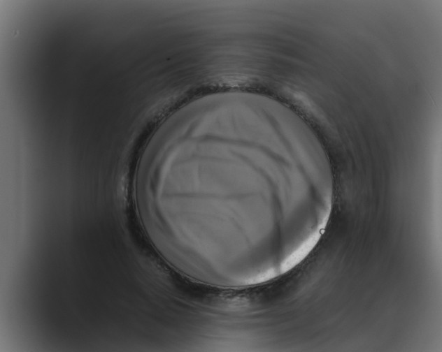 X0000088480640200706191407