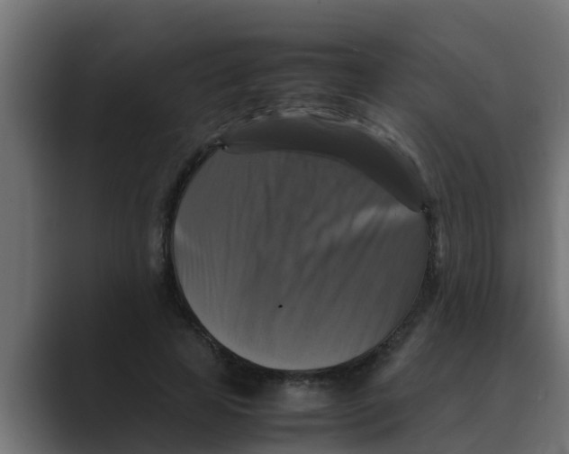 X0000088480641200706191407