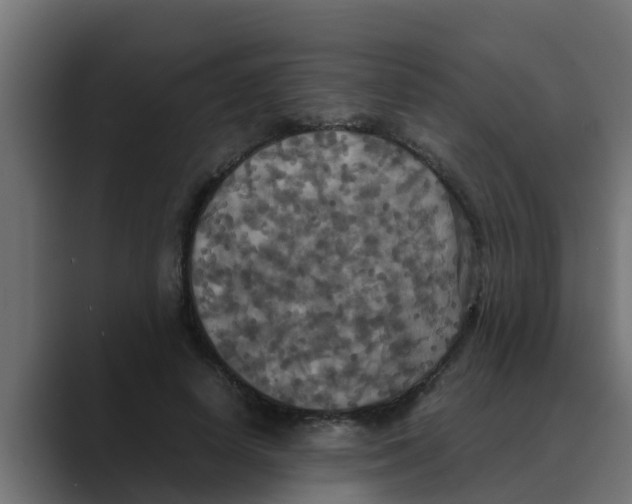 X0000088480642200706191407