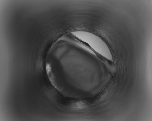 X0000088480643200706191407