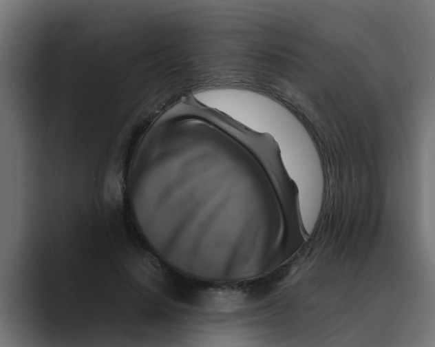 X0000088480644200706191407