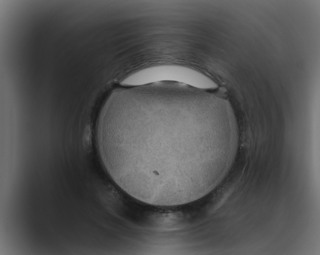 X0000088480646200706191407