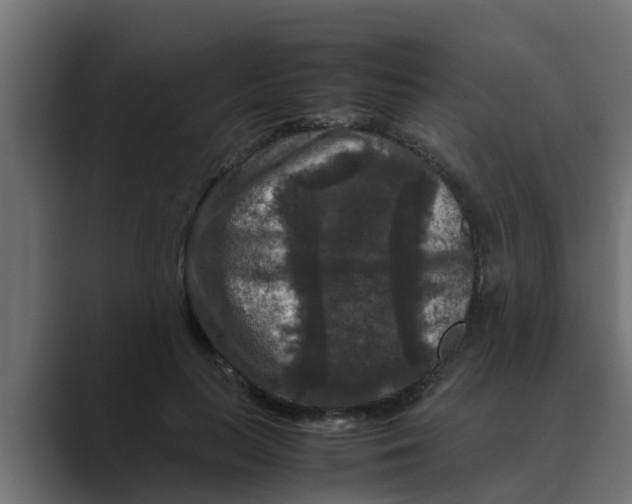 X0000088480647200706191407