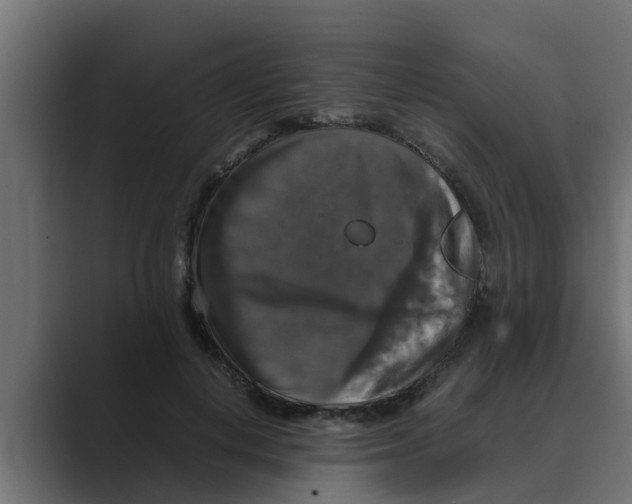 X0000088480648200706191407