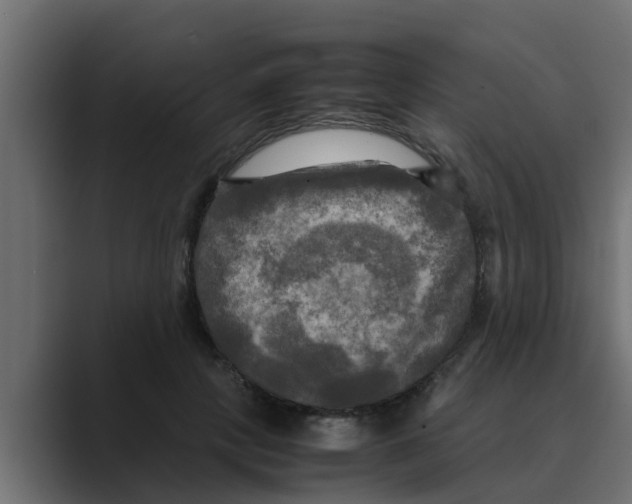 X0000088480649200706191407