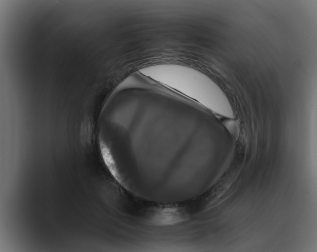 X0000088480651200706191407