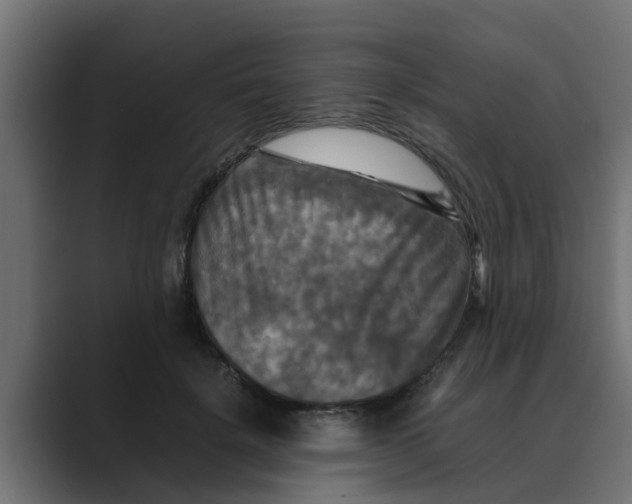 X0000088480652200706191407