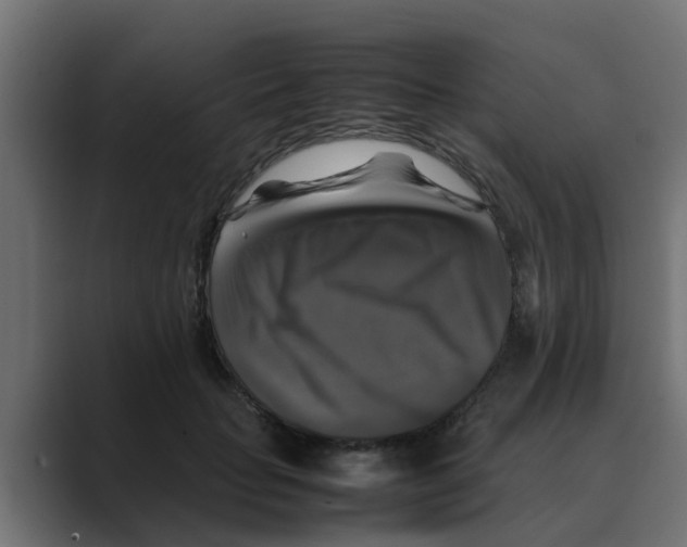 X0000088480653200706191407