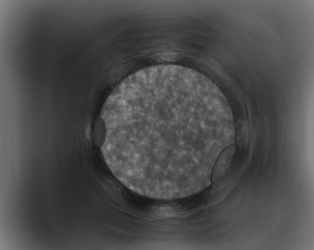 X0000088480655200706191407