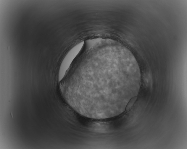 X0000088480657200706191407