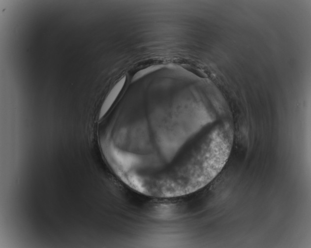 X0000088480658200706191407