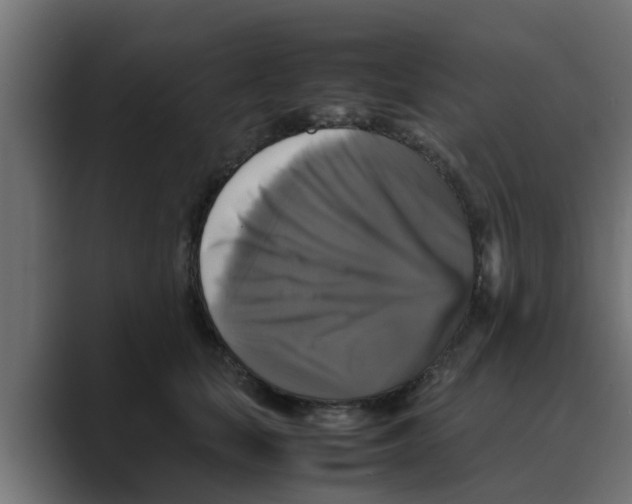 X0000088480659200706191407