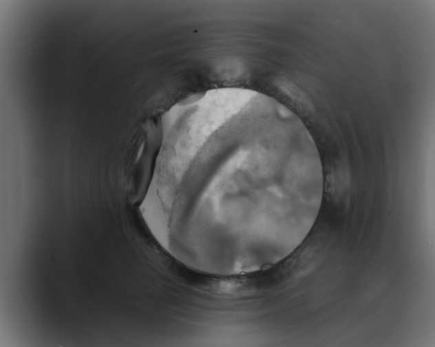 X0000088480662200706191407