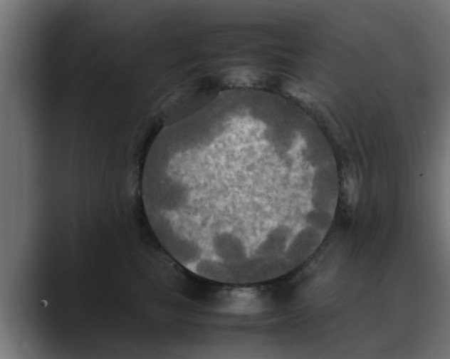 X0000088480665200706191407