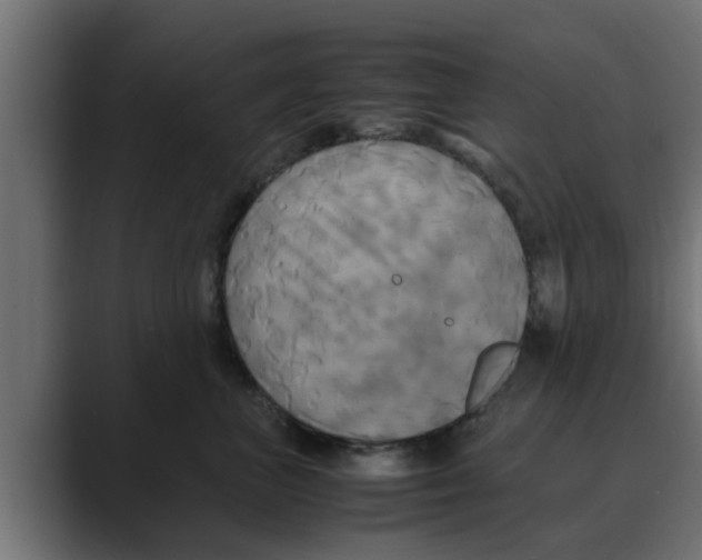 X0000088480667200706191407