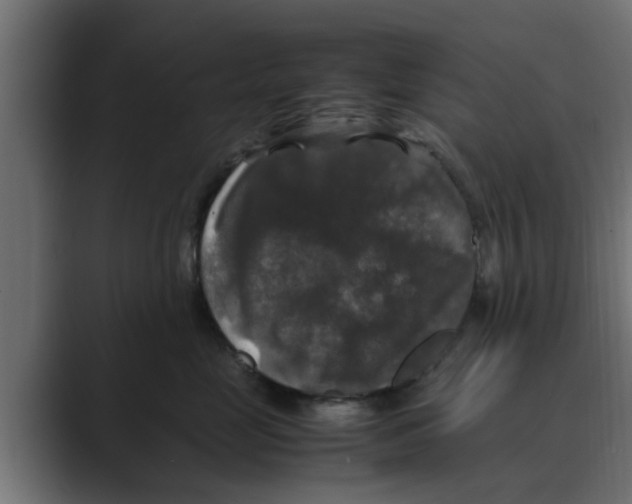 X0000088480669200706191407