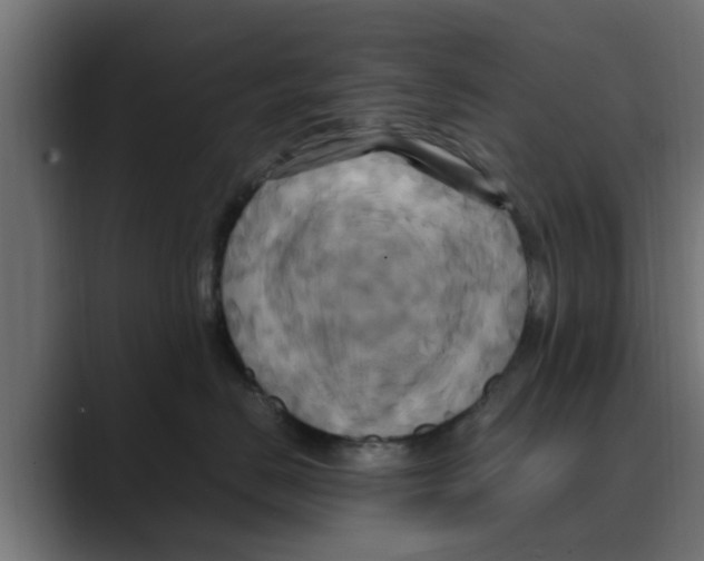 X0000088480670200706191407