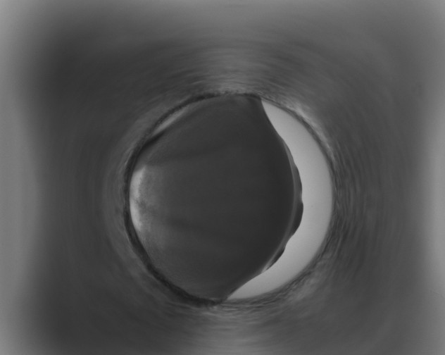 X0000088480673200706191407