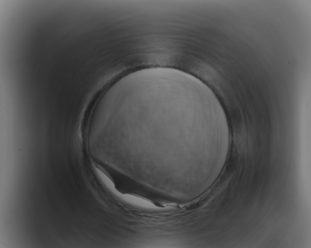 X0000088480674200706191407