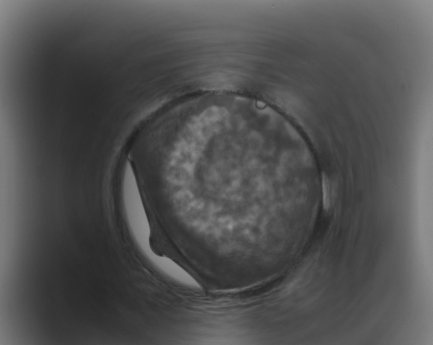 X0000088480675200706191407