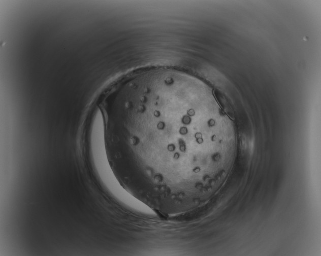 X0000088480676200706191407