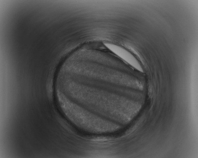 X0000088480677200706191407