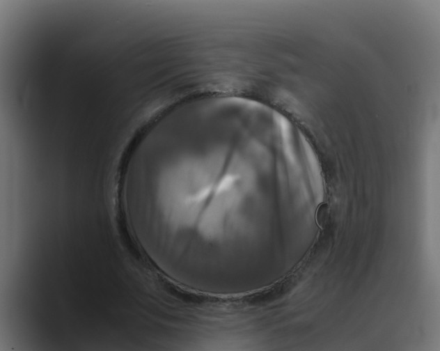 X0000088480679200706191407