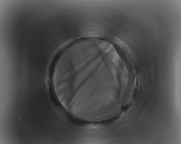 X0000088480680200706191407