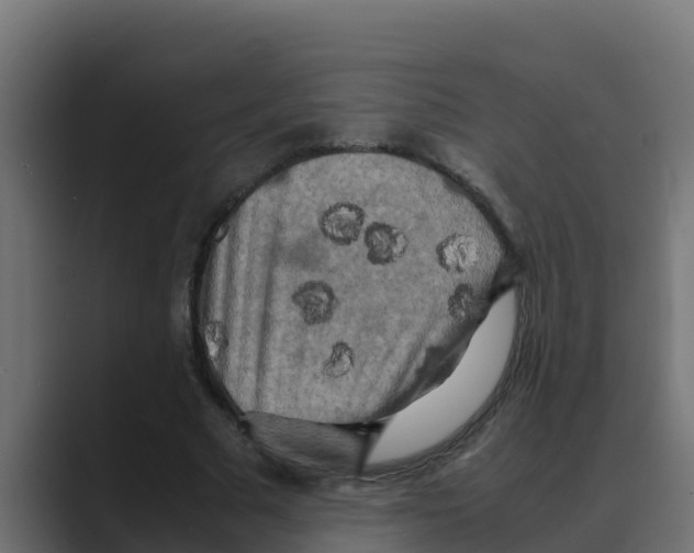X0000088480681200706191407