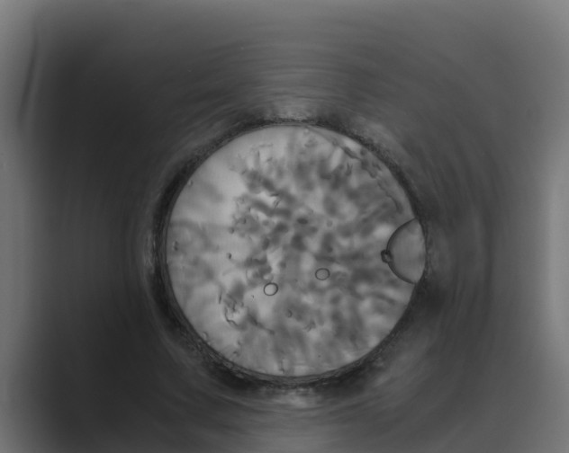 X0000088480683200706191407