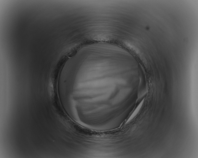 X0000088480688200706191407