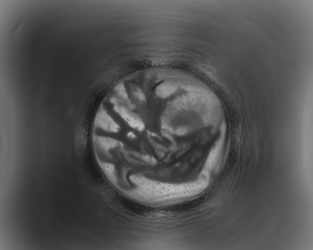 X0000088480691200706191407