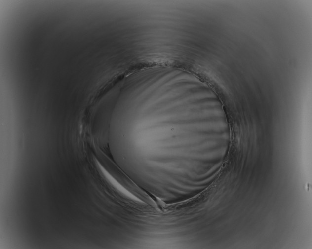 X0000088480692200706191407