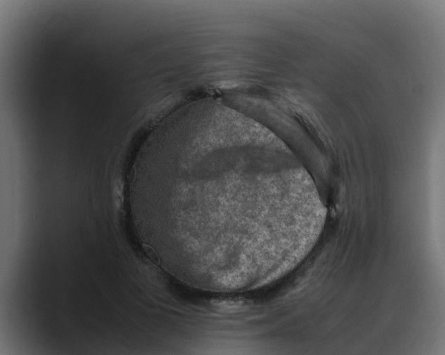 X0000088480693200706191407