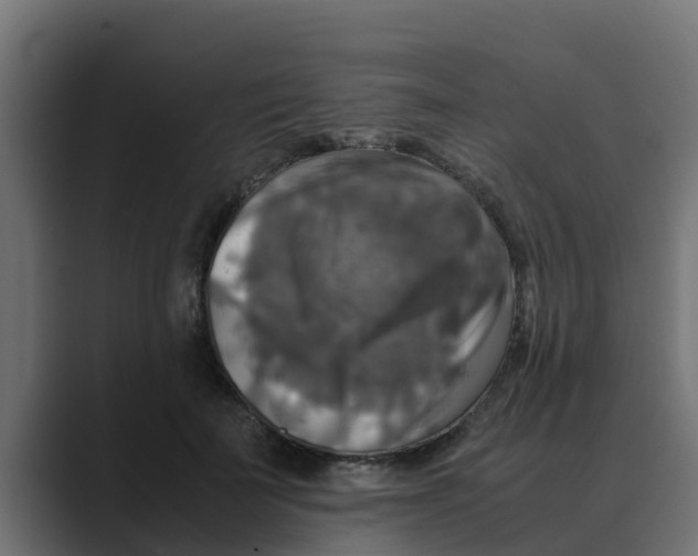 X0000088480699200706191407