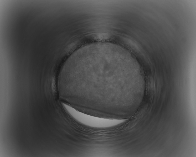 X0000088480700200706191407