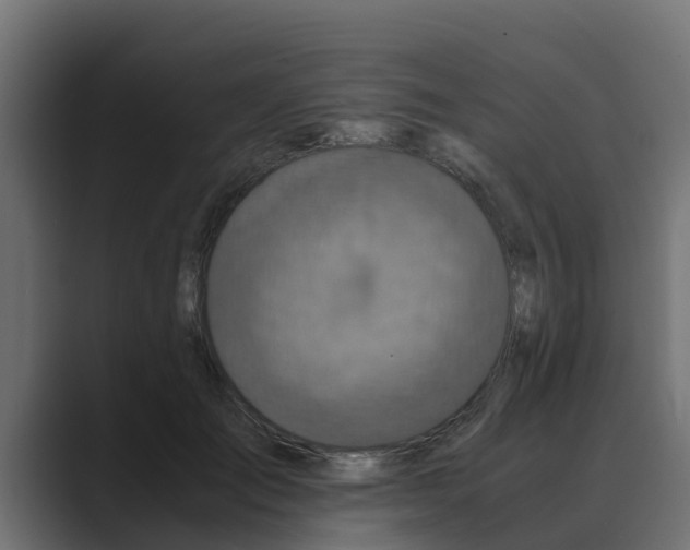 X0000088480701200706191407