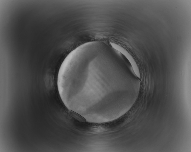 X0000088480704200706191407