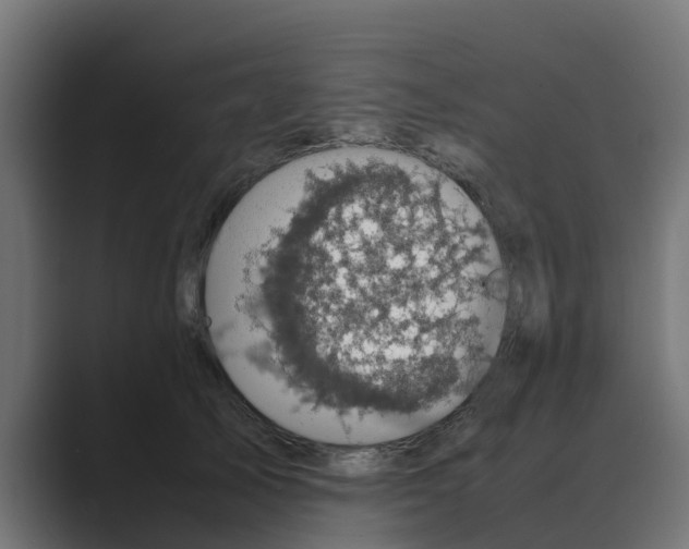 X0000088480705200706191407