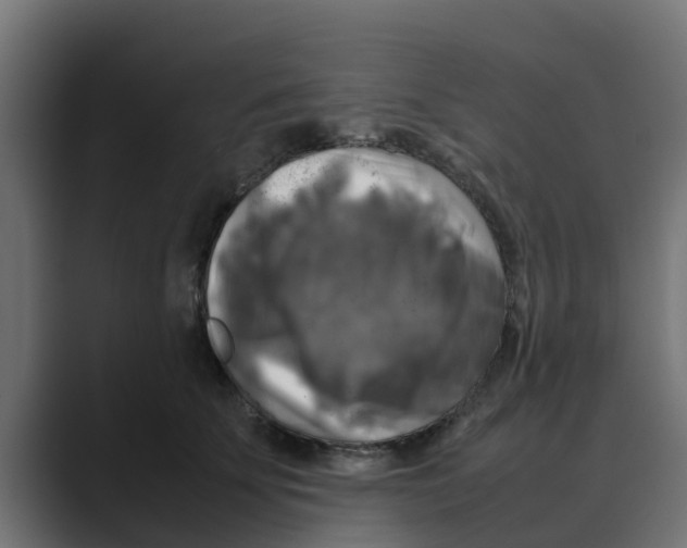 X0000088480707200706191407